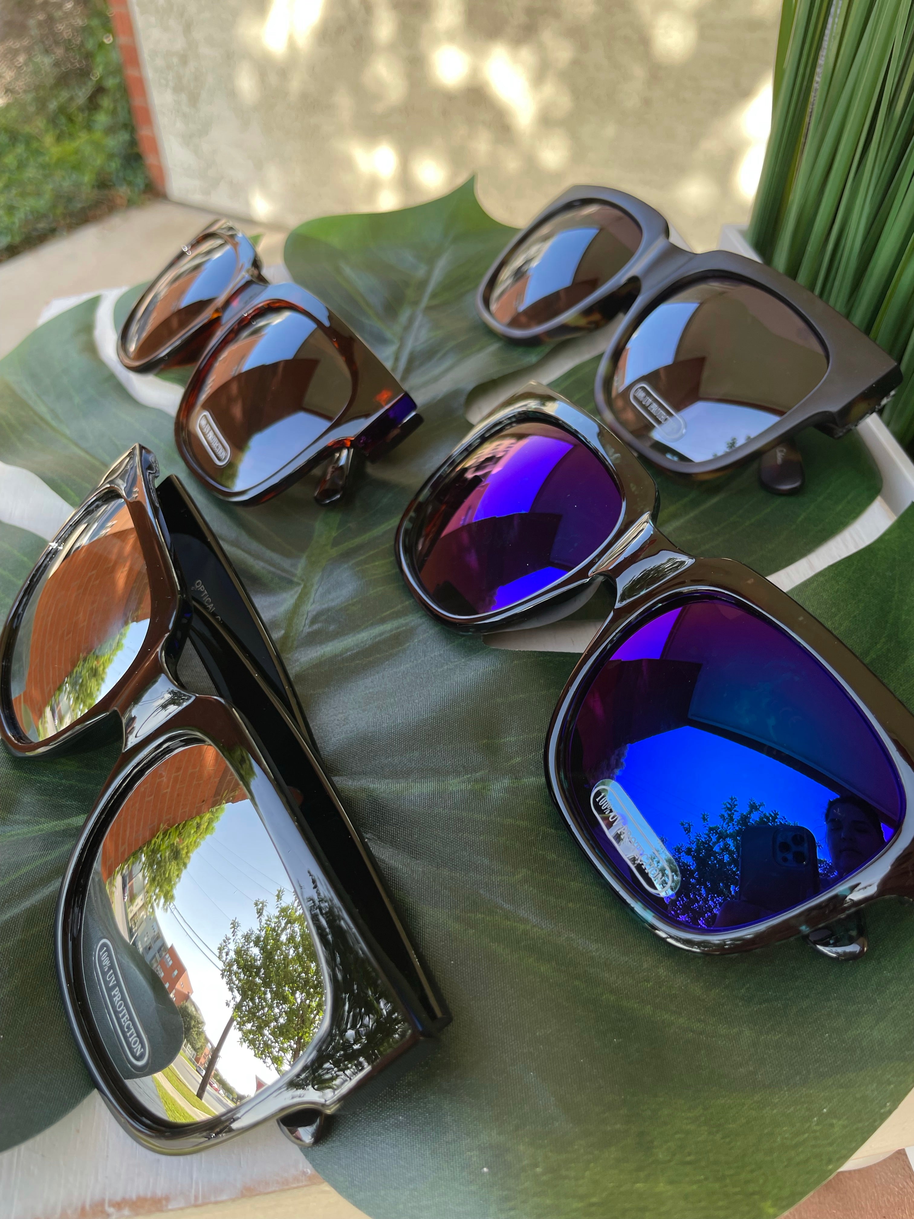 Large Wayfarer Sunnies