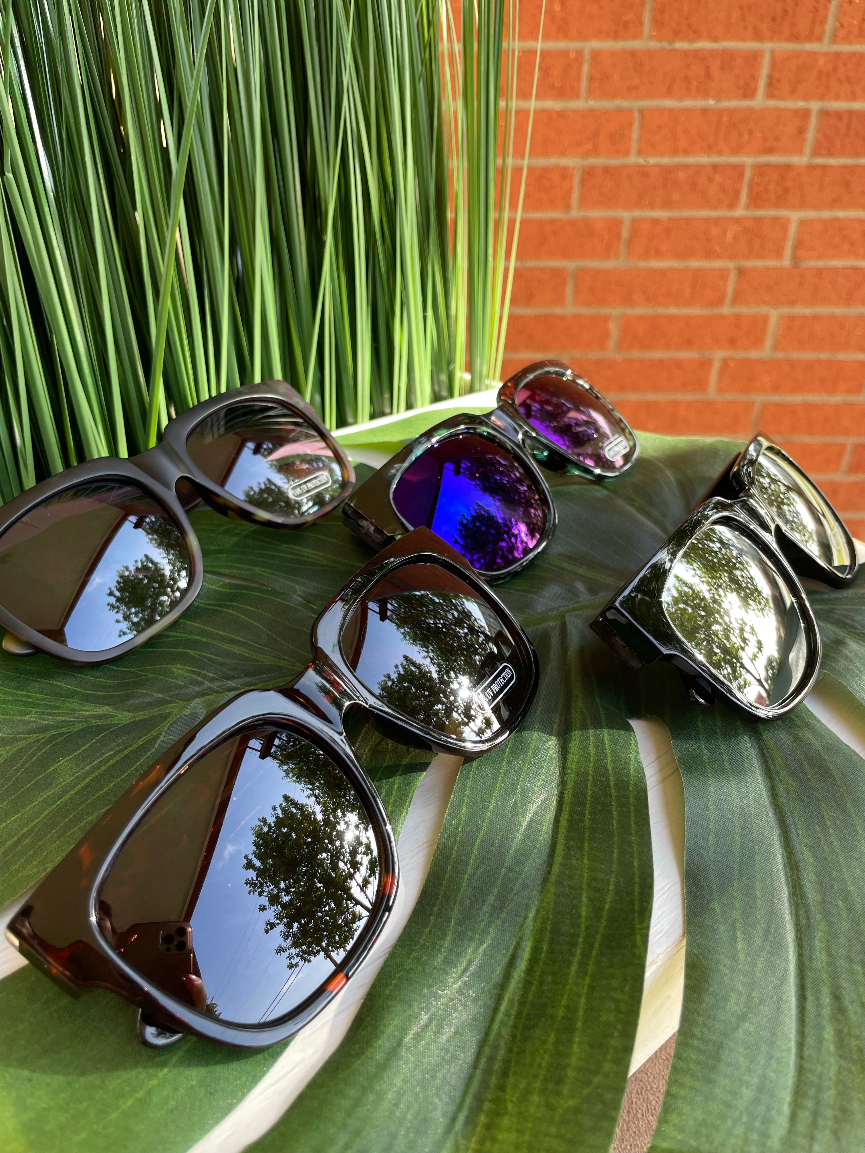 Large Wayfarer Sunnies