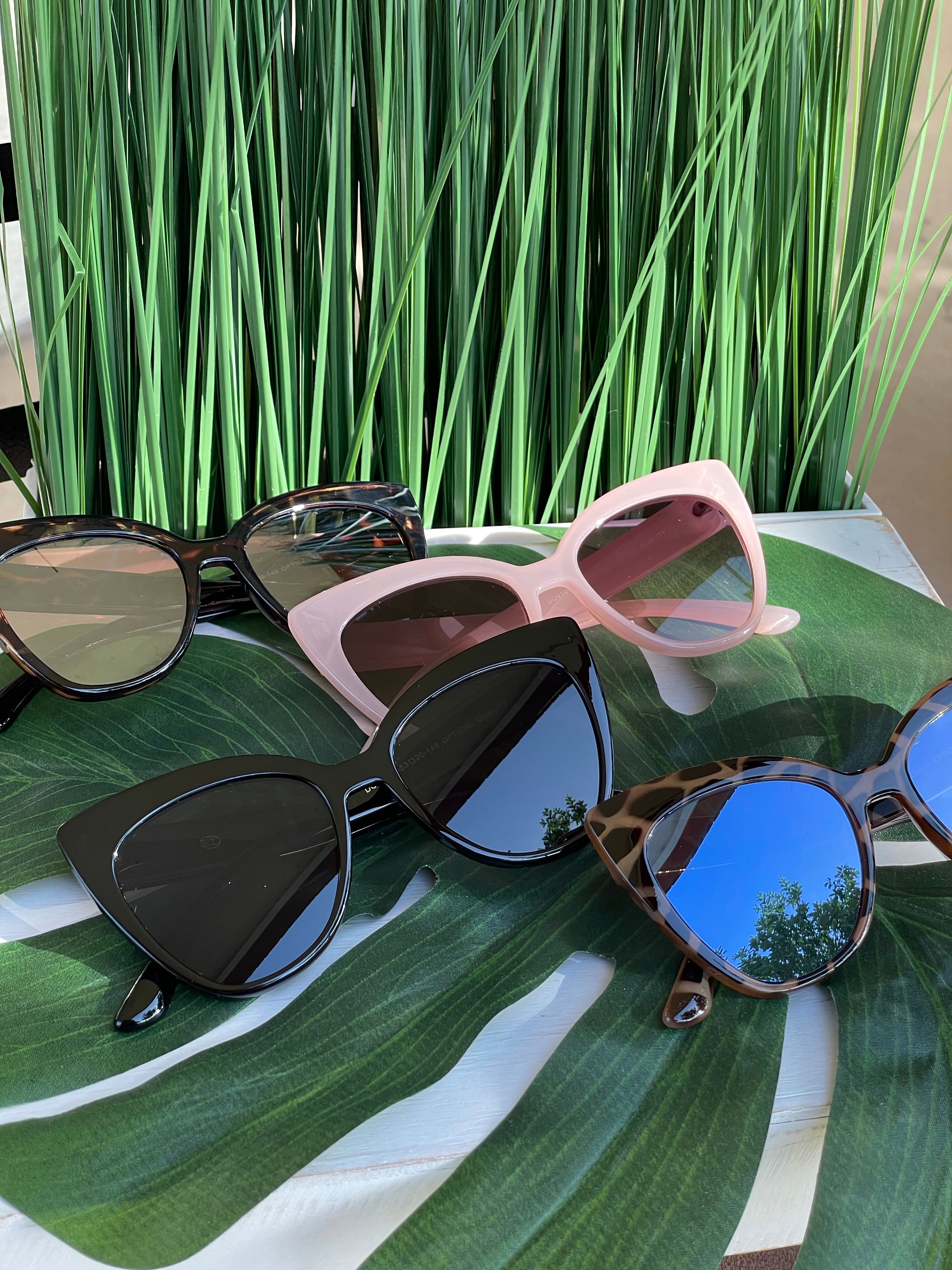 Cool Cat Oversized Sunnies