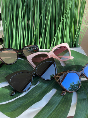 Cool Cat Oversized Sunnies
