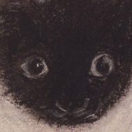 Art Show Centered on Nameless Rescue Kitten Opening at Mockingbird Handprints This Week
