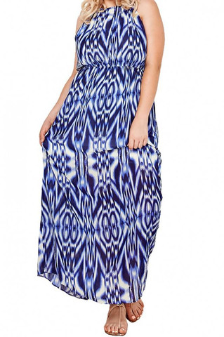 *SALE ITEM* Birds of a Feather Maxi Dress